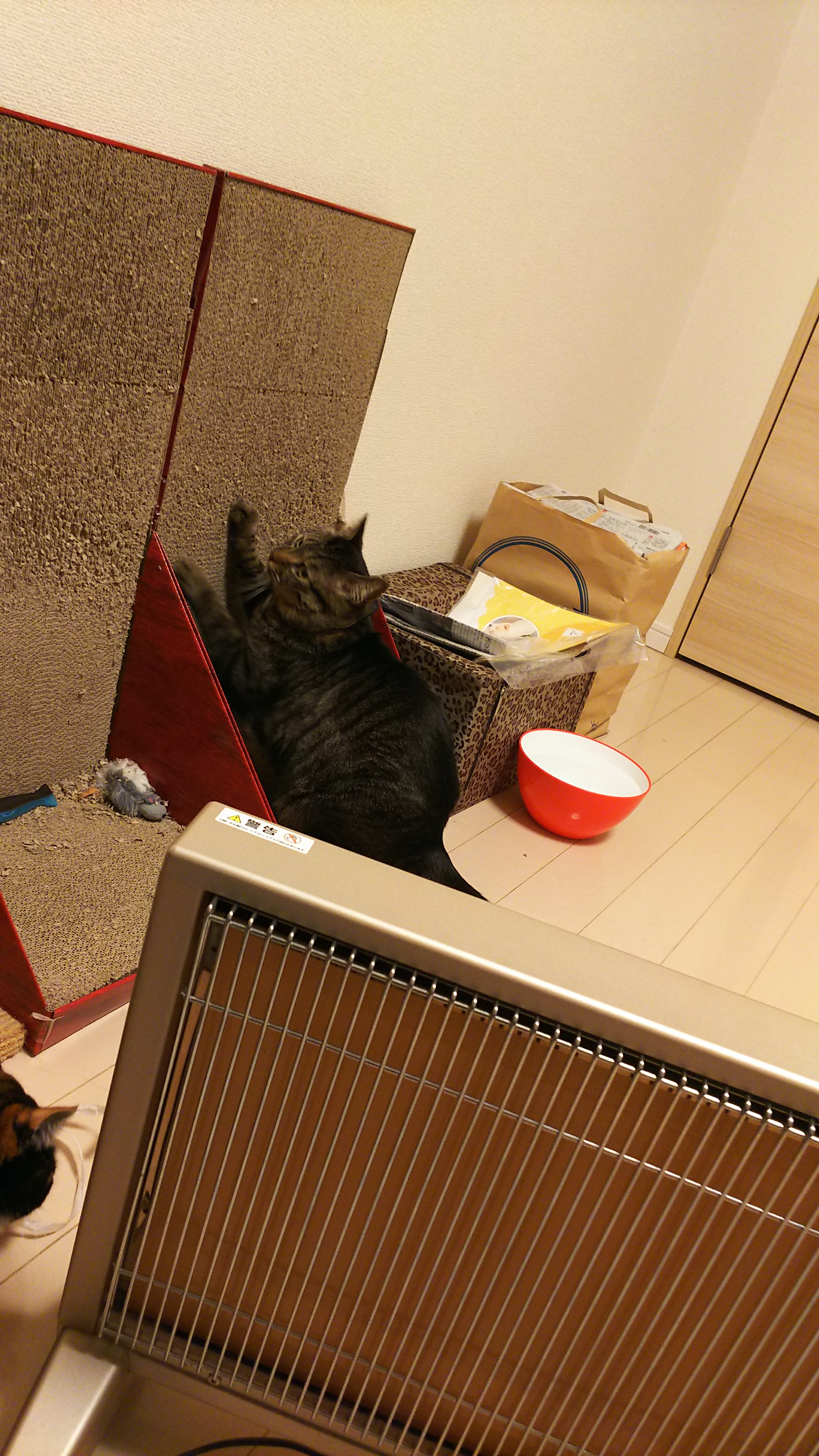 ポテト正統爪とぎ.jpg