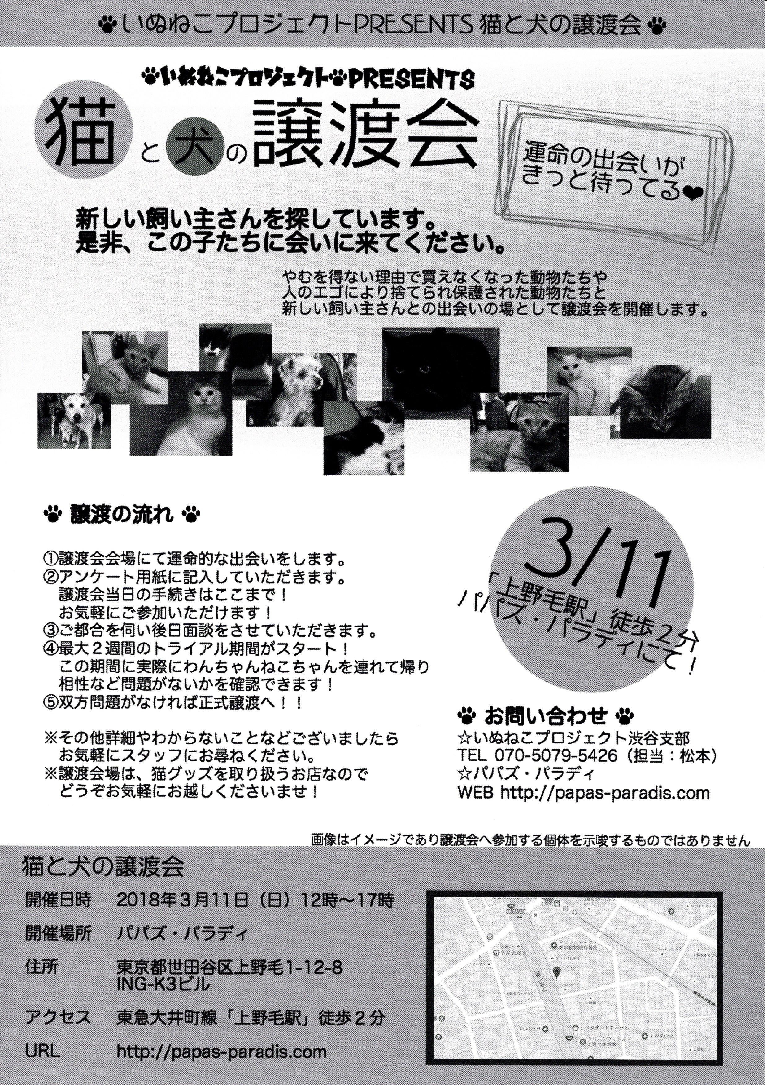 20180311.jpg