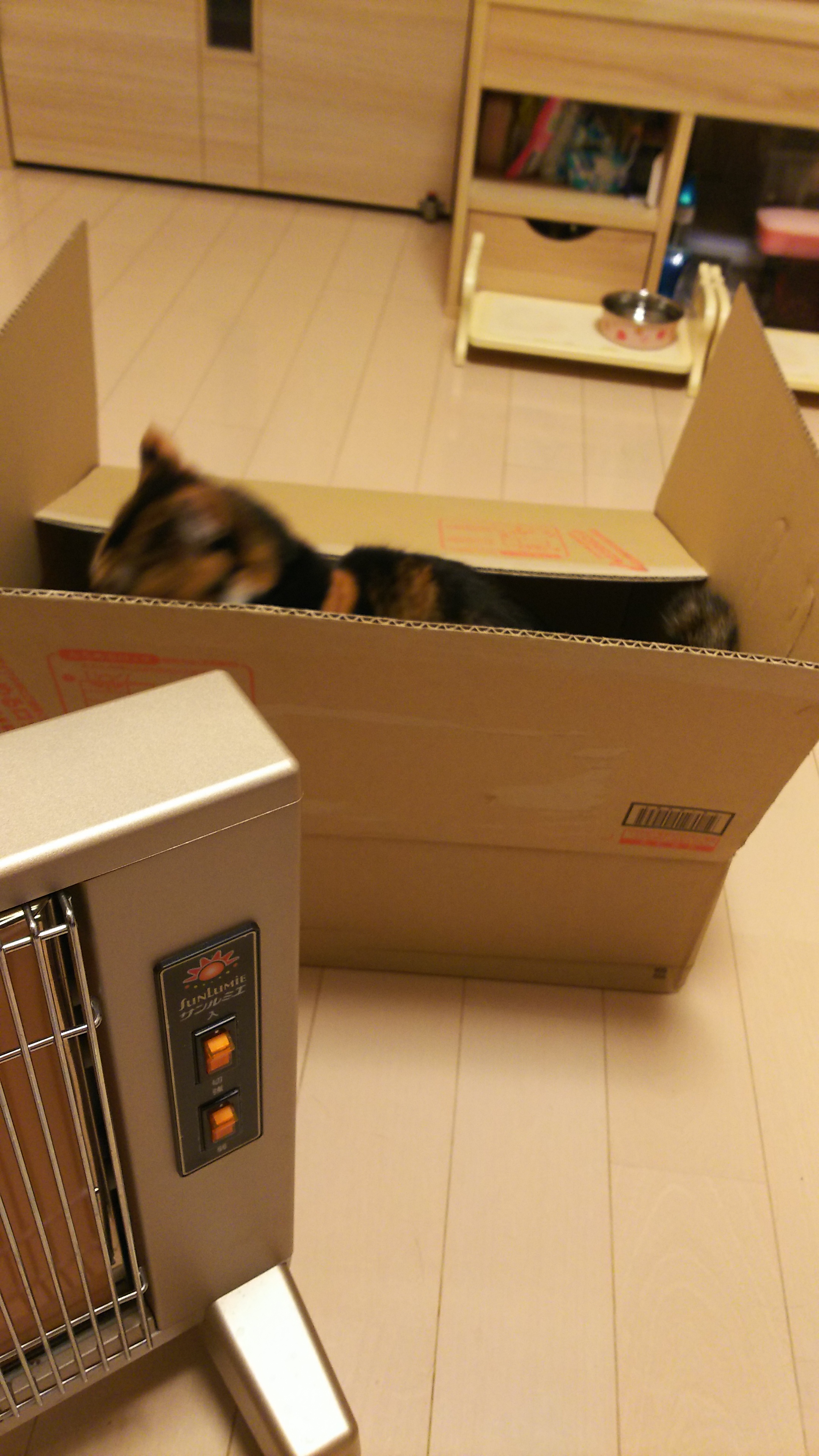 お荷物です.jpg