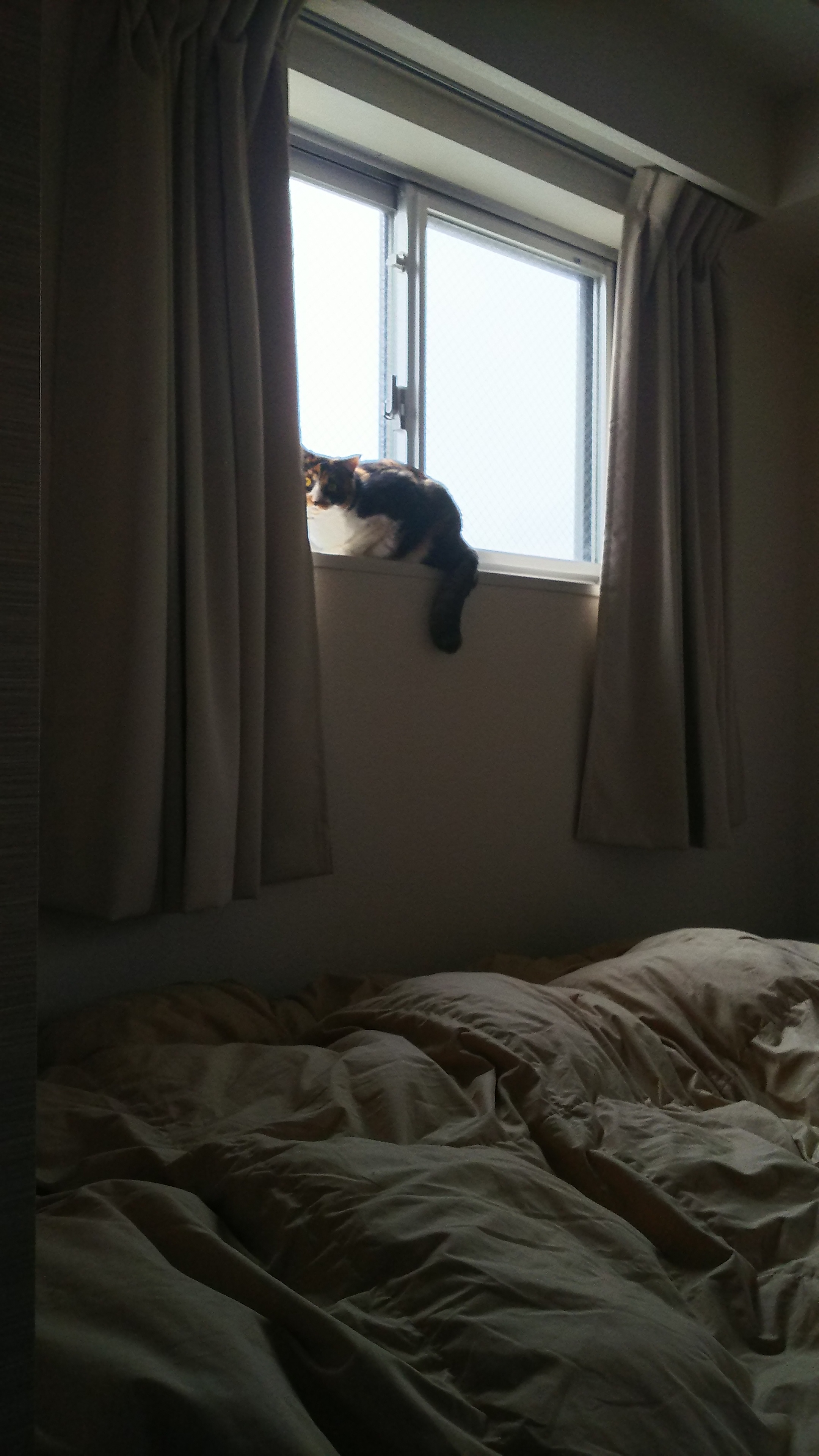 かかかか・・・.jpg