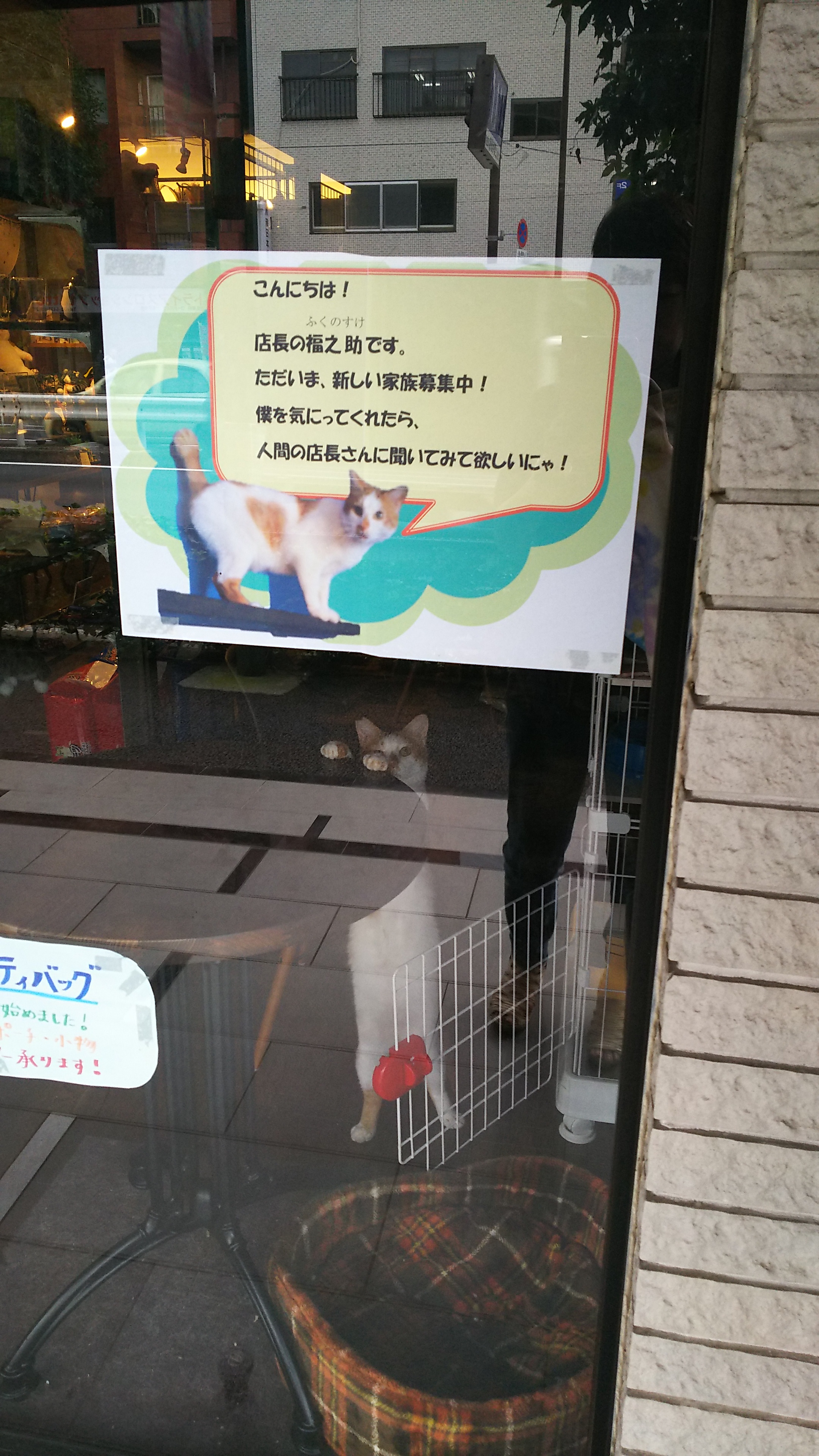 20180906.jpg