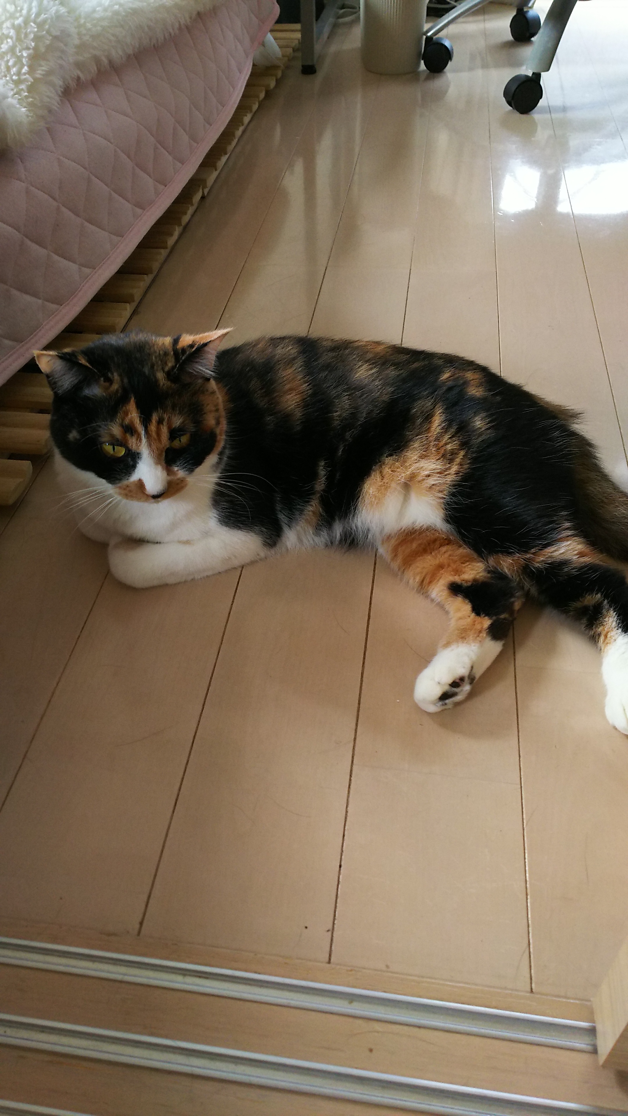 20180919.jpg