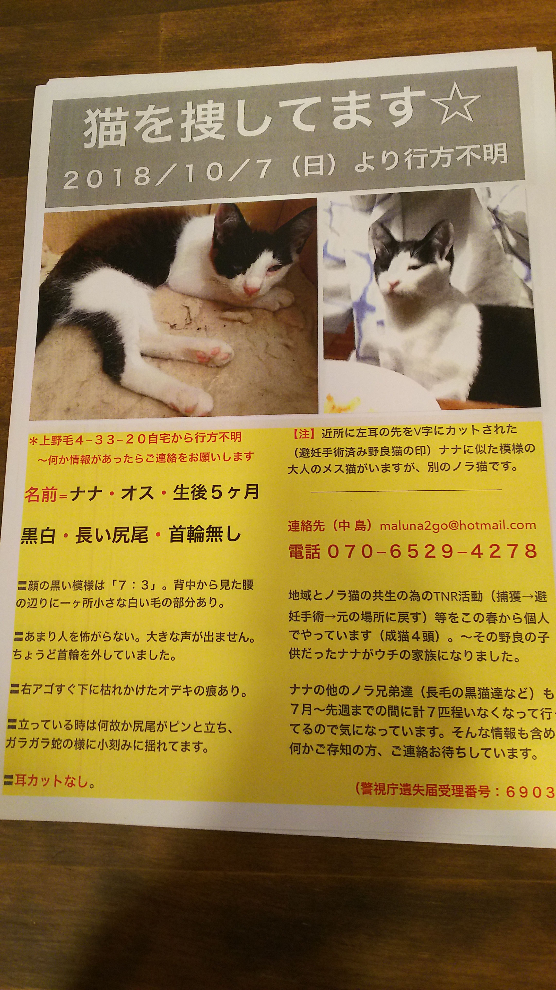 20181014.jpg