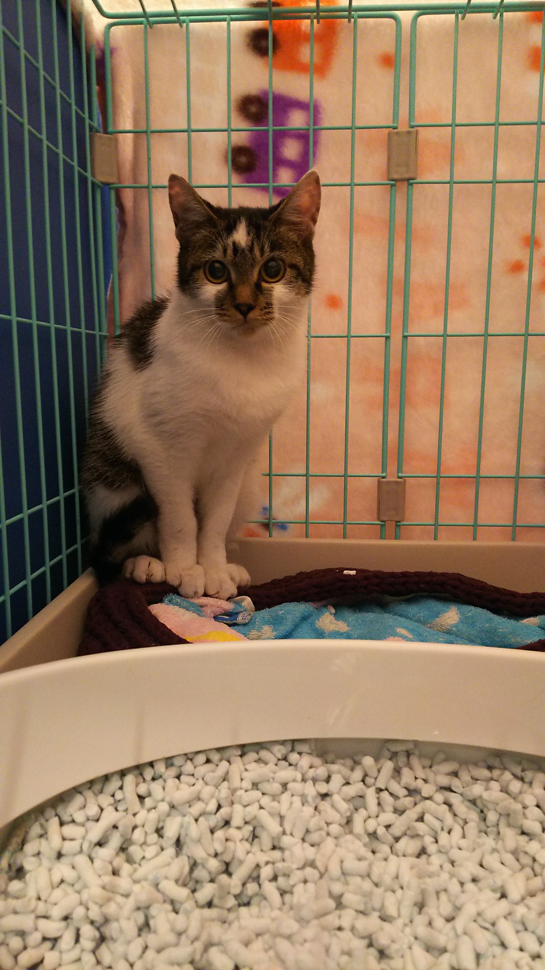 20181031DSC_1382.JPG