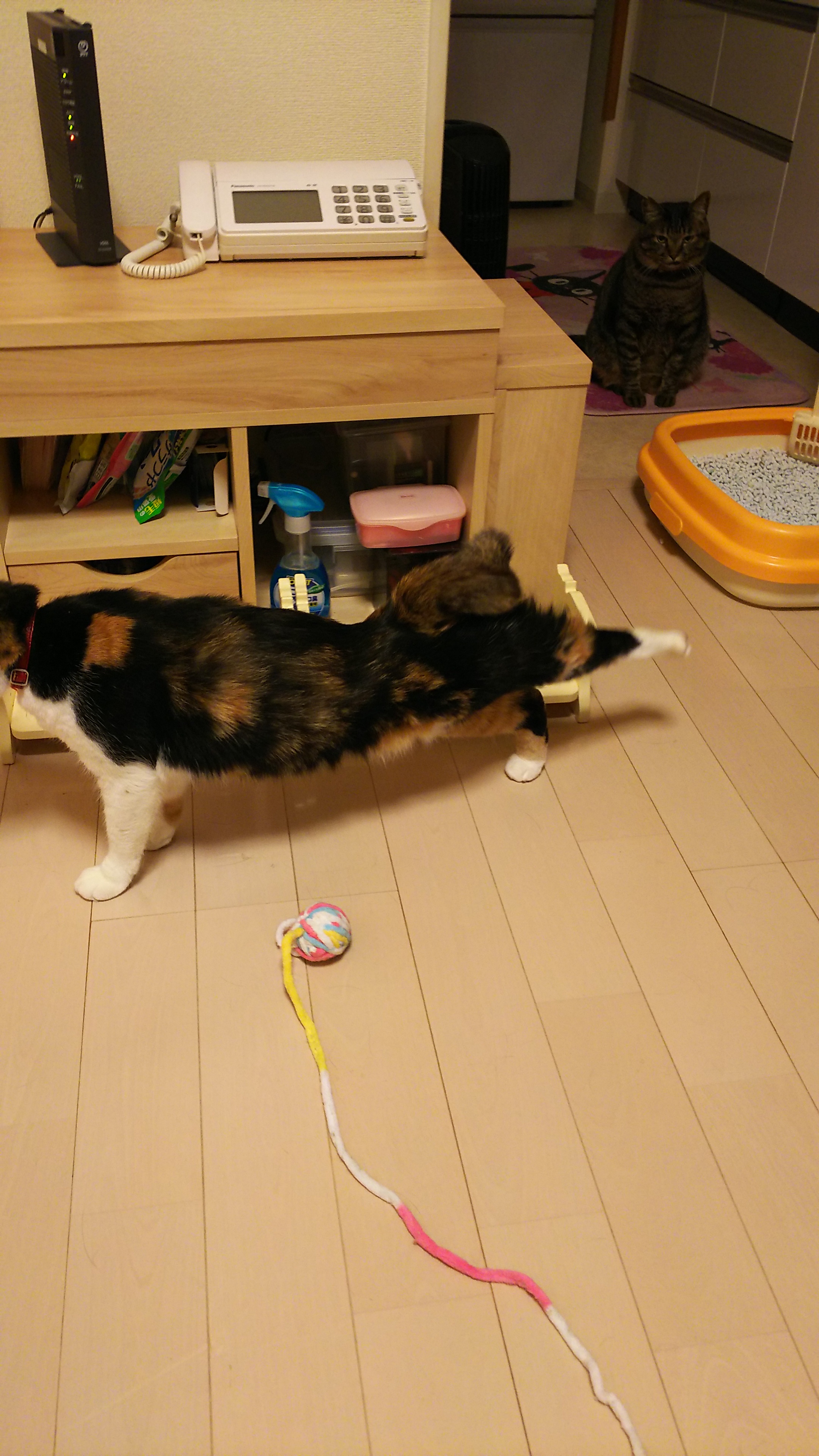 20181129.jpg