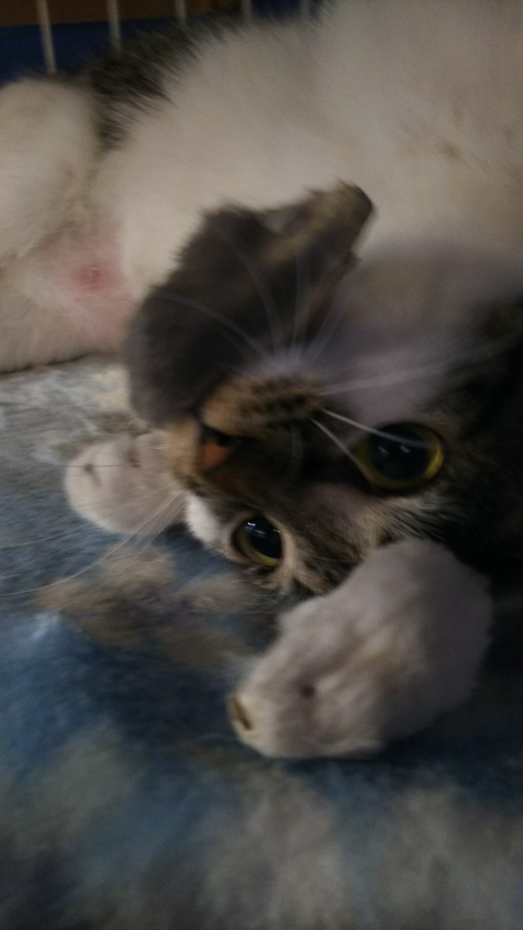 20190522.jpg