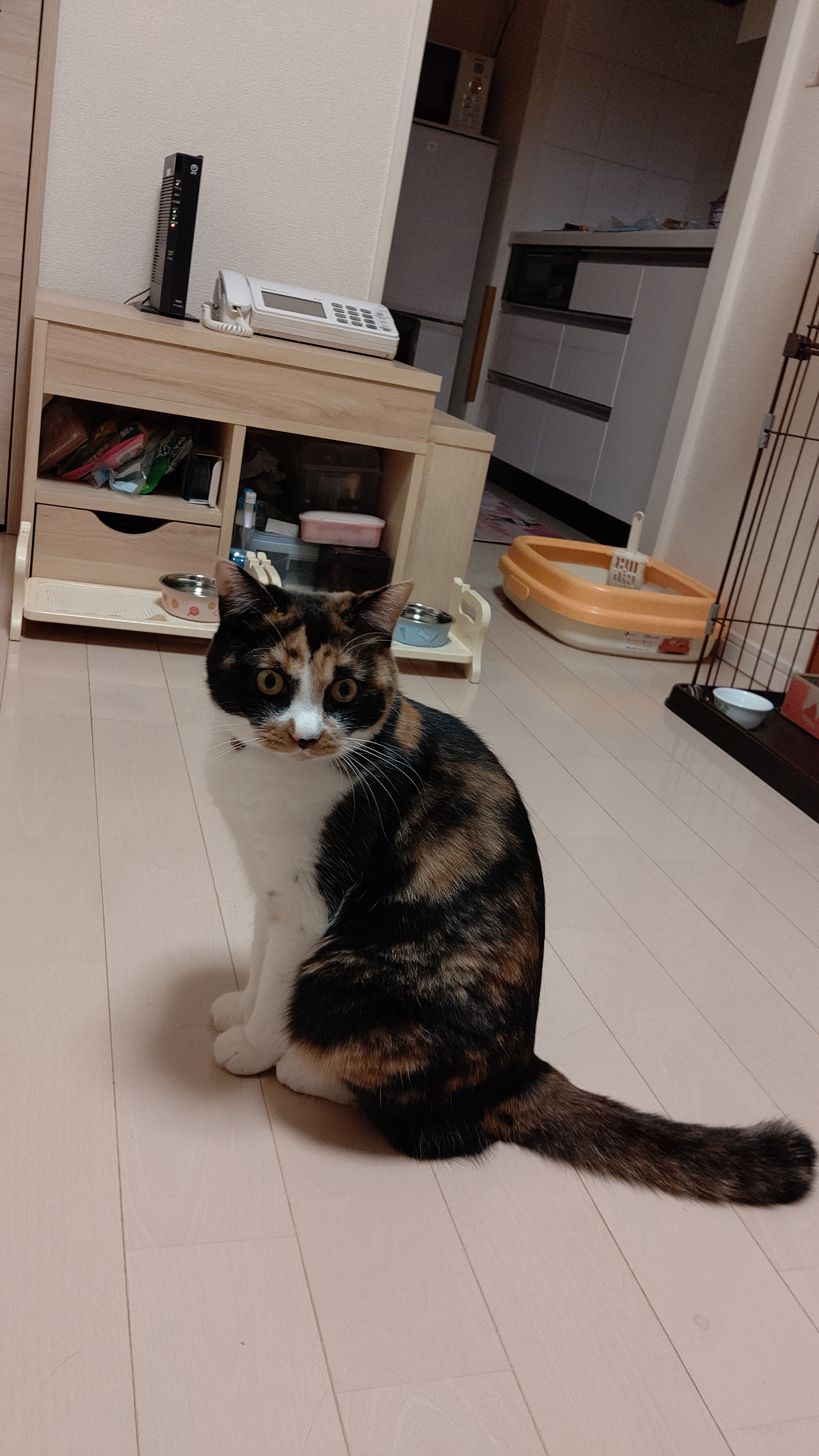 20190815.jpg