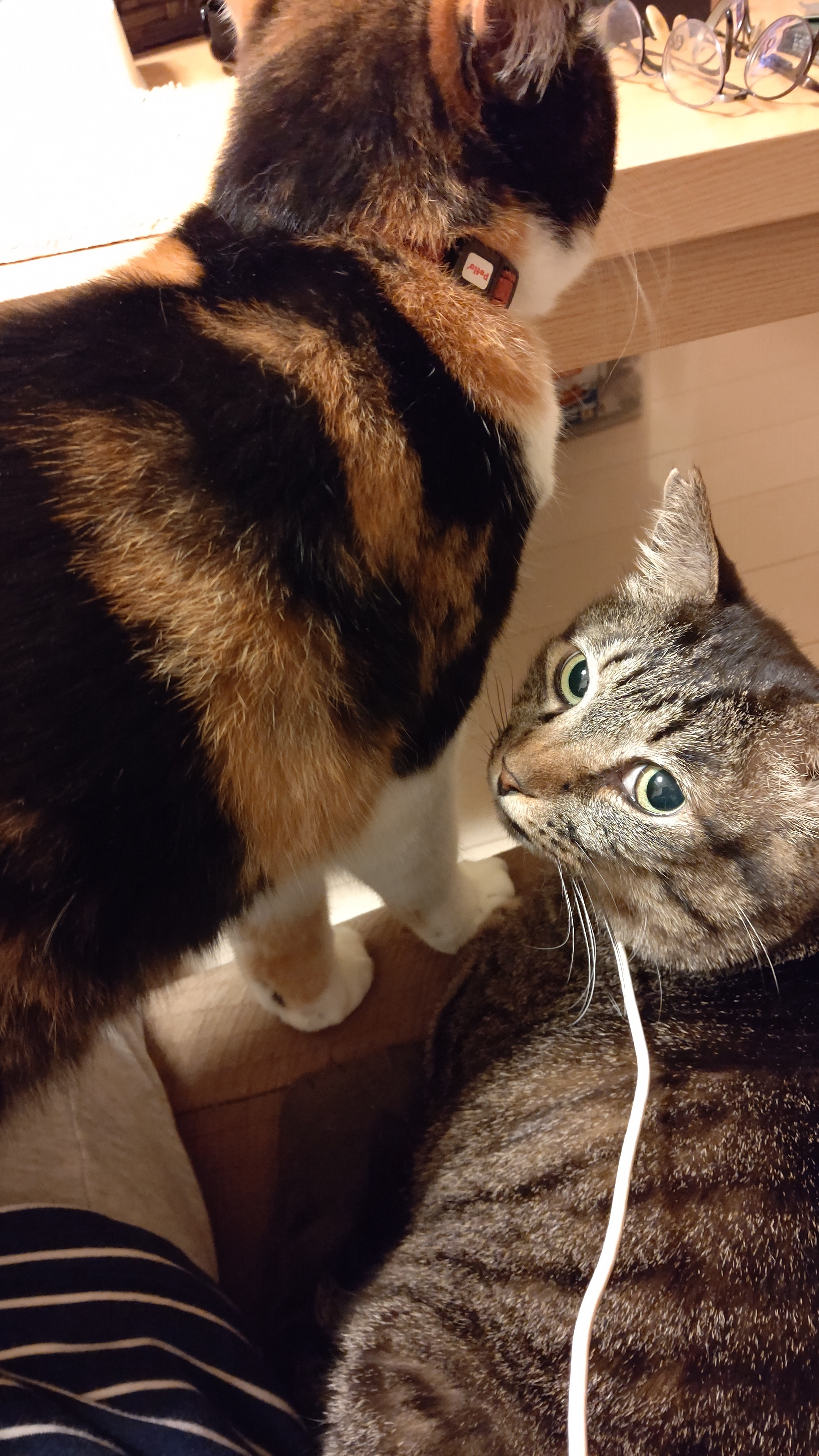 狭いんですが・・・