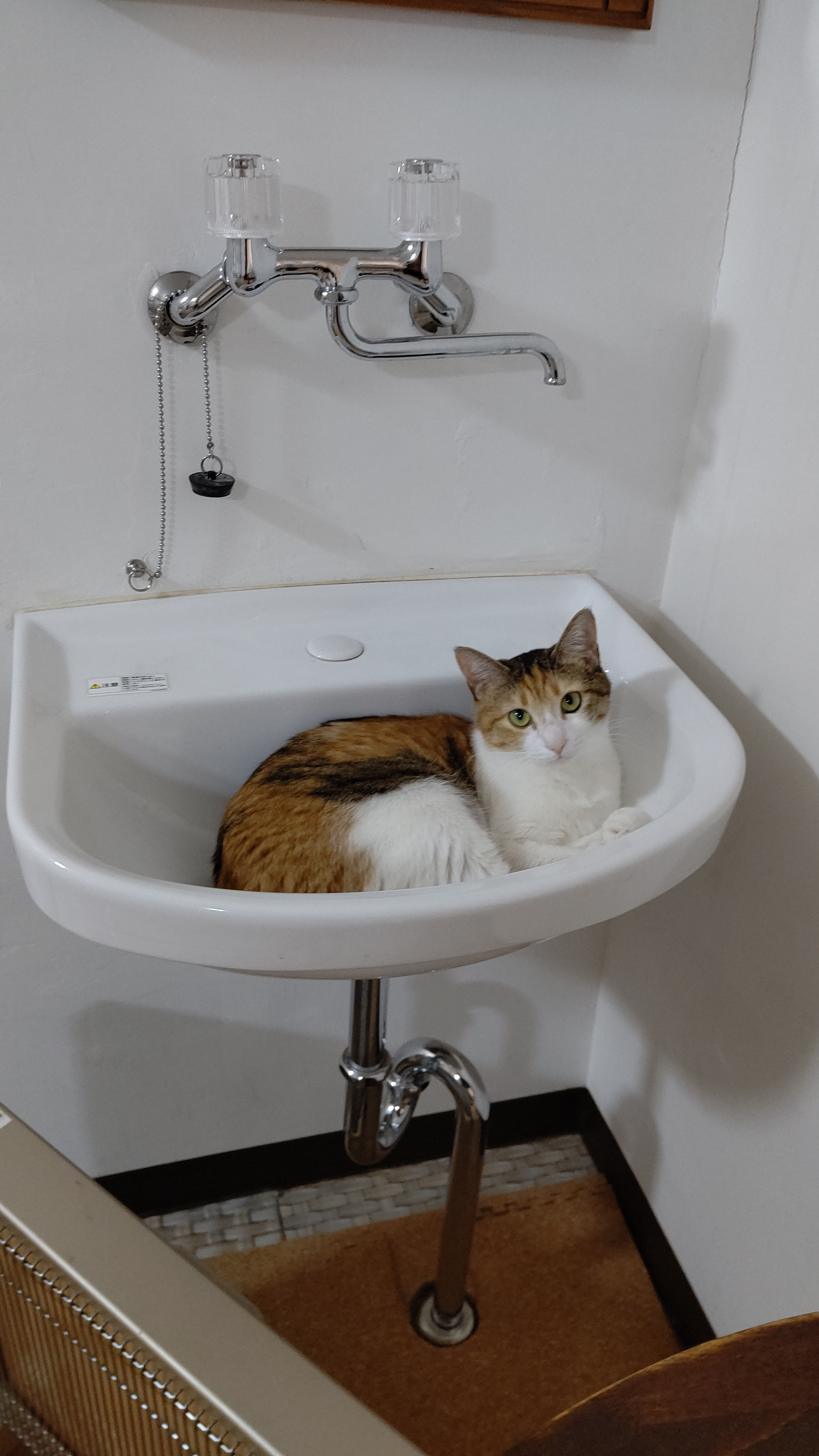 探検中です🔭