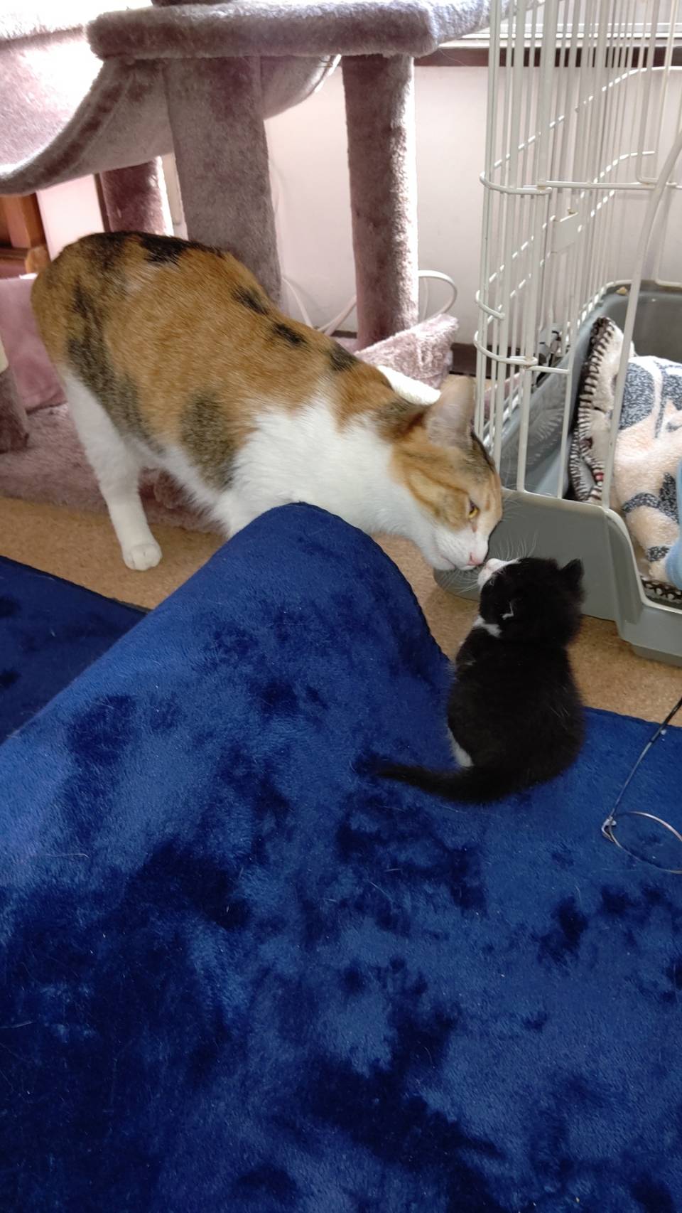 ほっこり💛