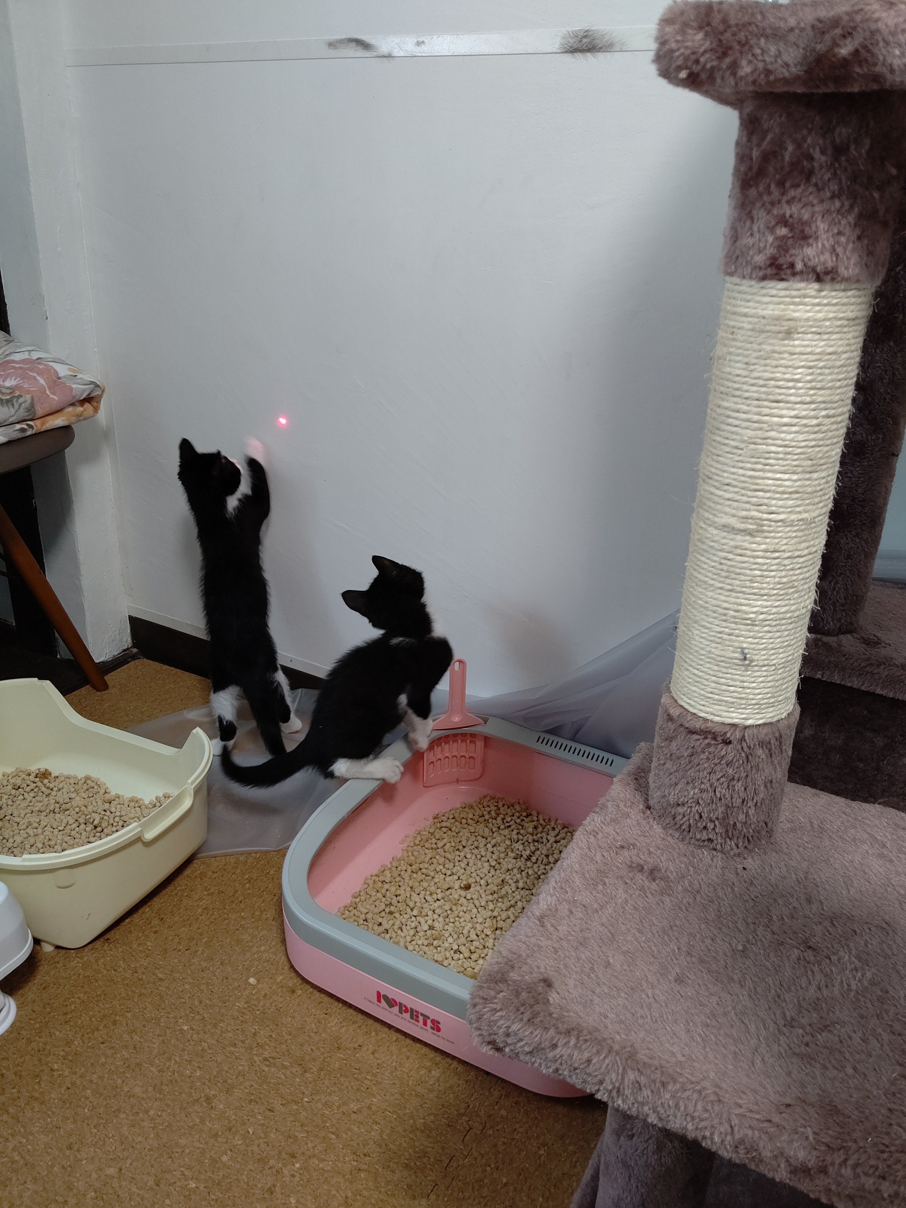 健在でした(*^^*)