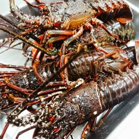 【お正月特別プラン】伊勢海老と静岡産銘柄牛葵のWメインなど全6品