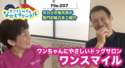 おすすめのドッグサロンを紹介🐕💈