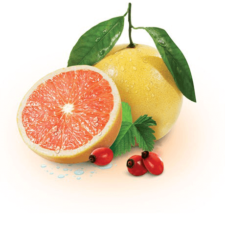 sunny-grapefruit_slide03.png