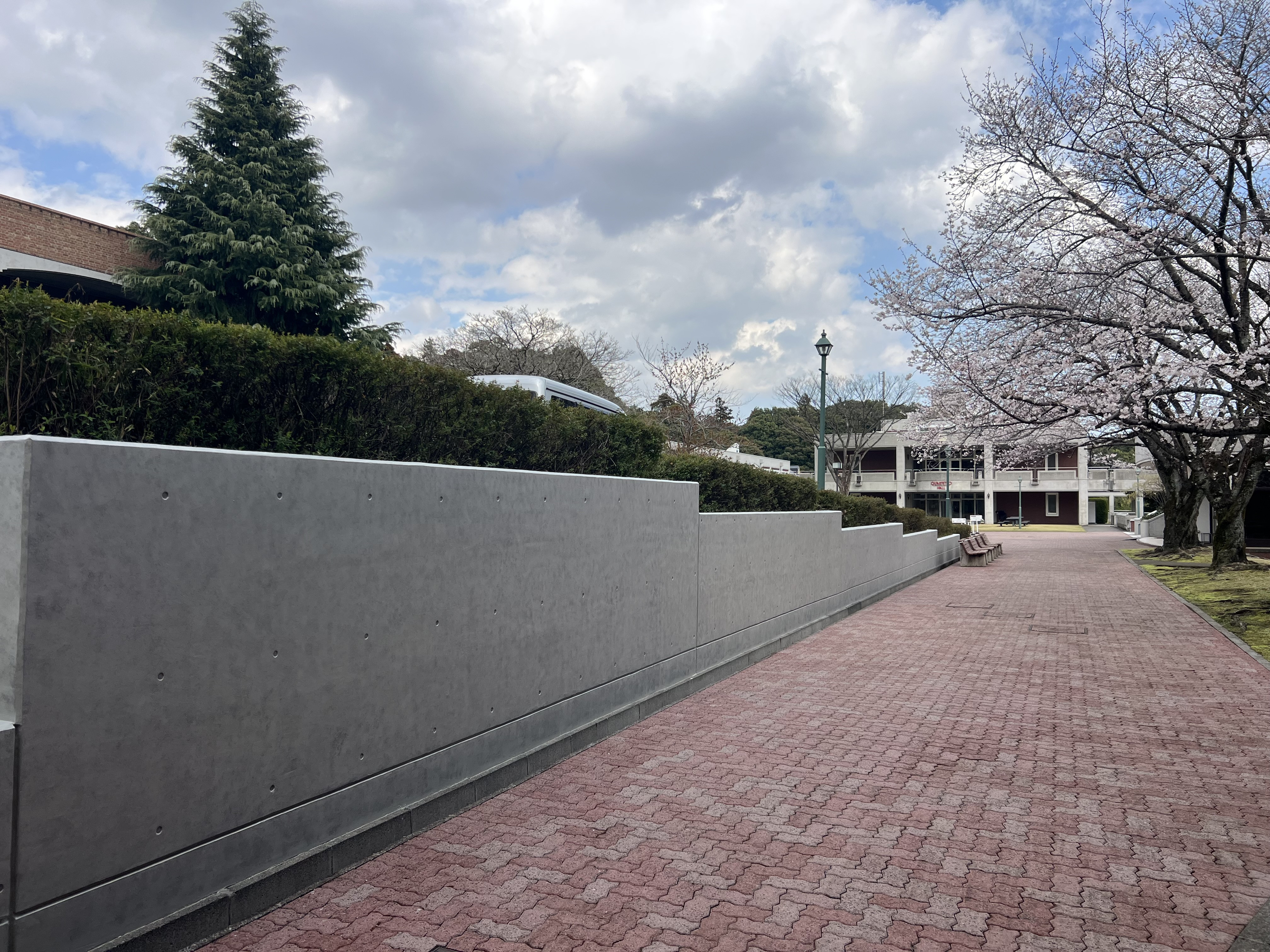 IMG_5047.jpeg