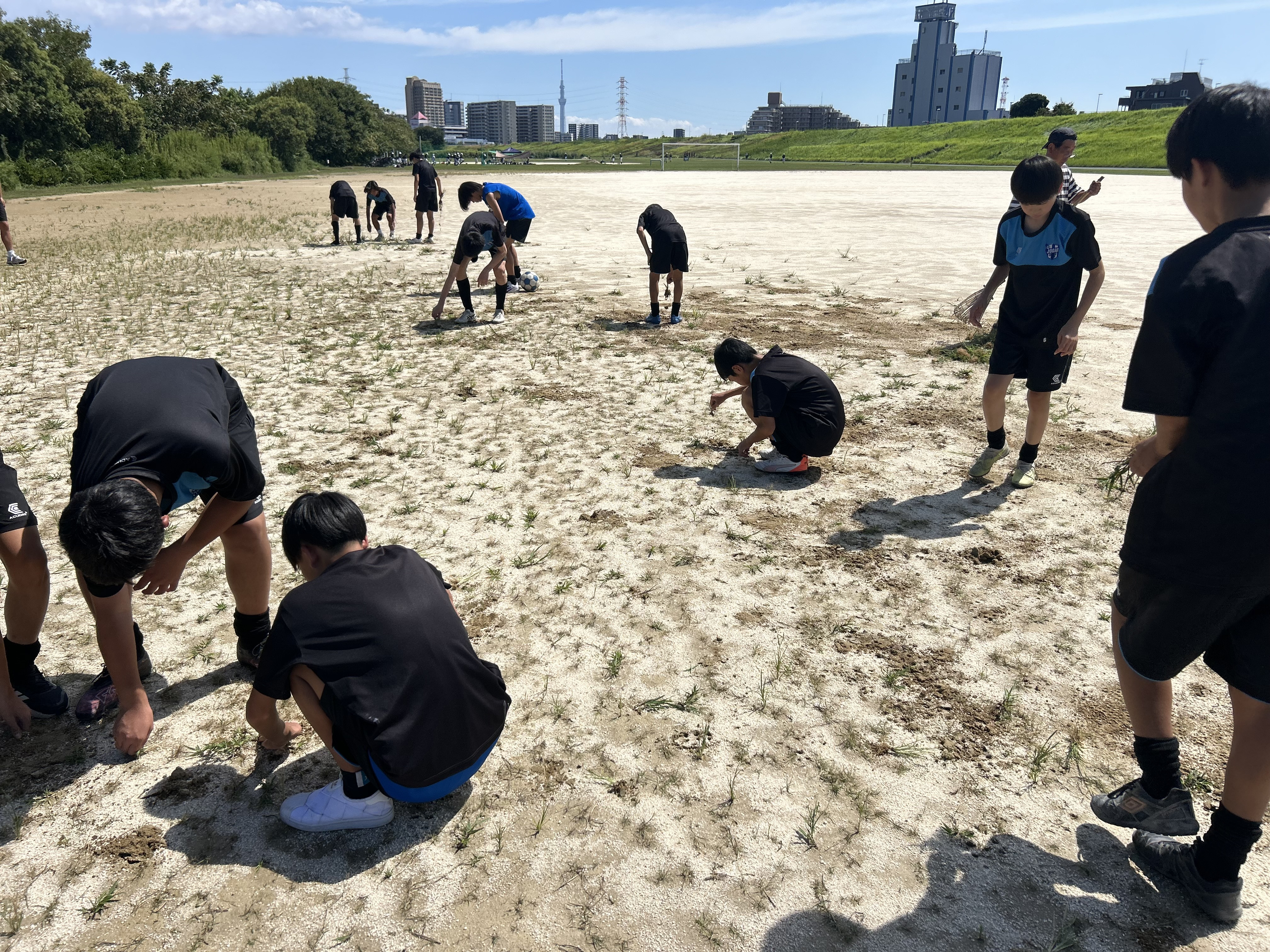 江北橋右岸球技場　草むしり