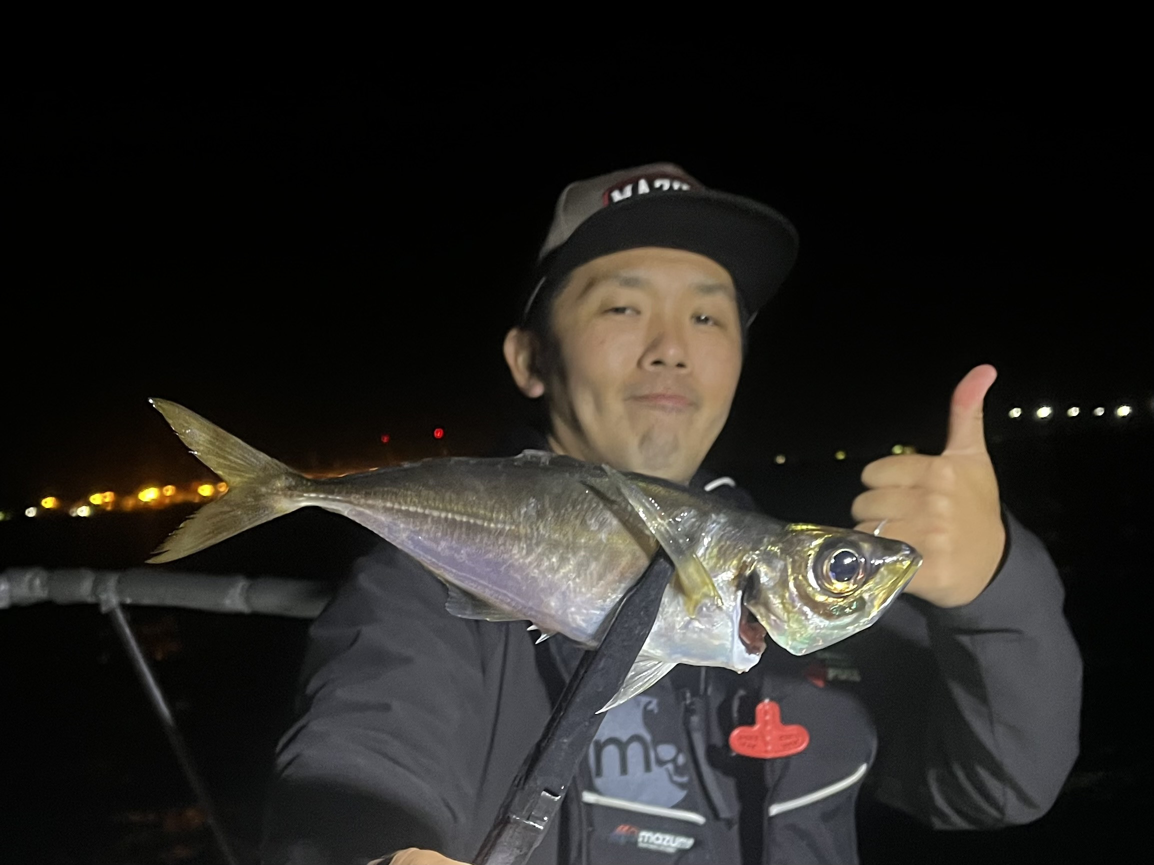 気難しいアジの攻略