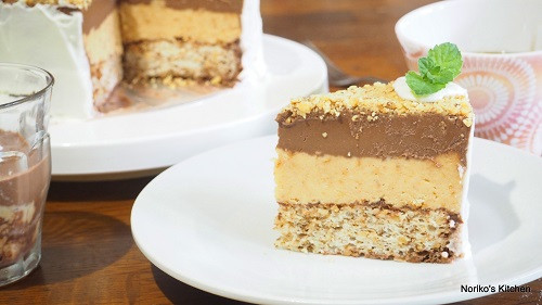 Plazma Torta / プラズマトルタ