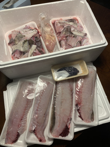 🐟お客様から差し入れを頂いた件について🐠