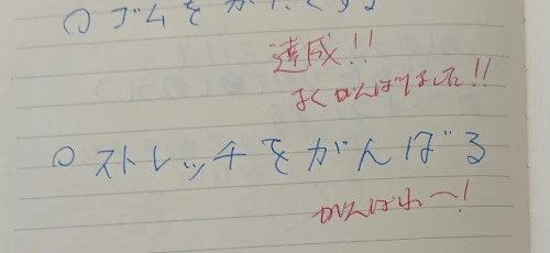ありすちゃんノート２.jpg