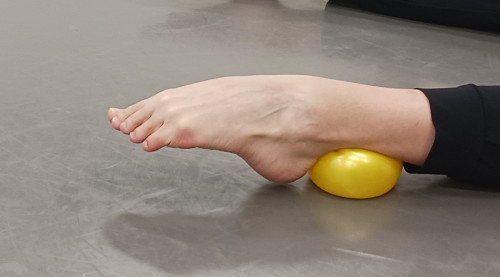 20240830_145621.jpg