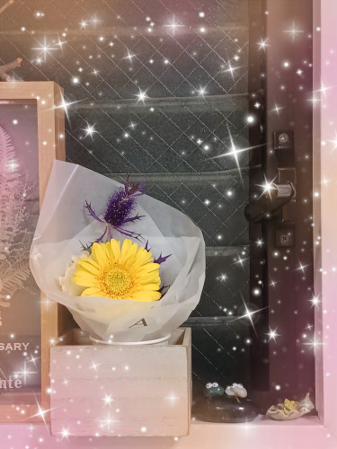 24-10-17-17-42-08-725_deco.jpg