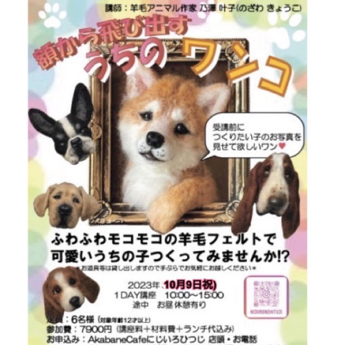 ✳︎羊毛アニマル✳︎ 〜額から飛び出すうちのワンコ〜