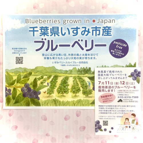 ブルーベリー直売