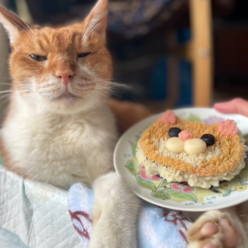 11月のお休みとおでん祭り2025のお知らせ