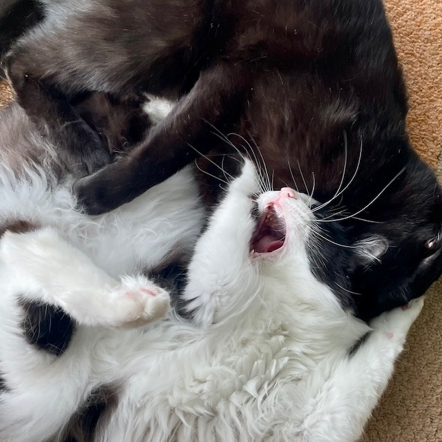 12月＆年末年始のお休みのお知らせ