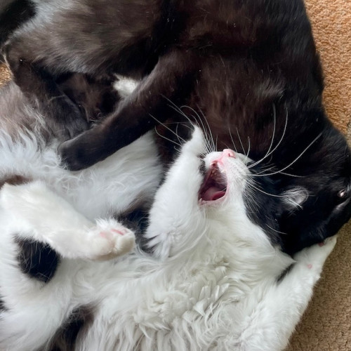 12月＆年末年始のお休みのお知らせ