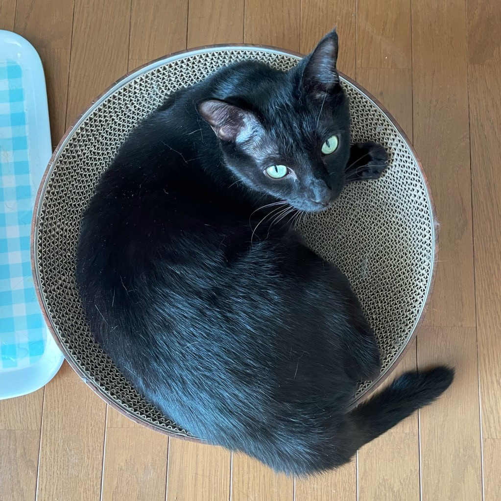 1月のお休みのお知らせ