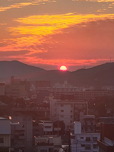 ナオさんのADAPT日記(まもなく5周年)
