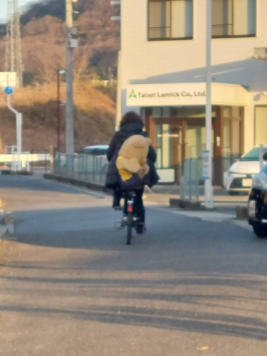 ナオさんのADAPT日記(プチADAPT祭り)