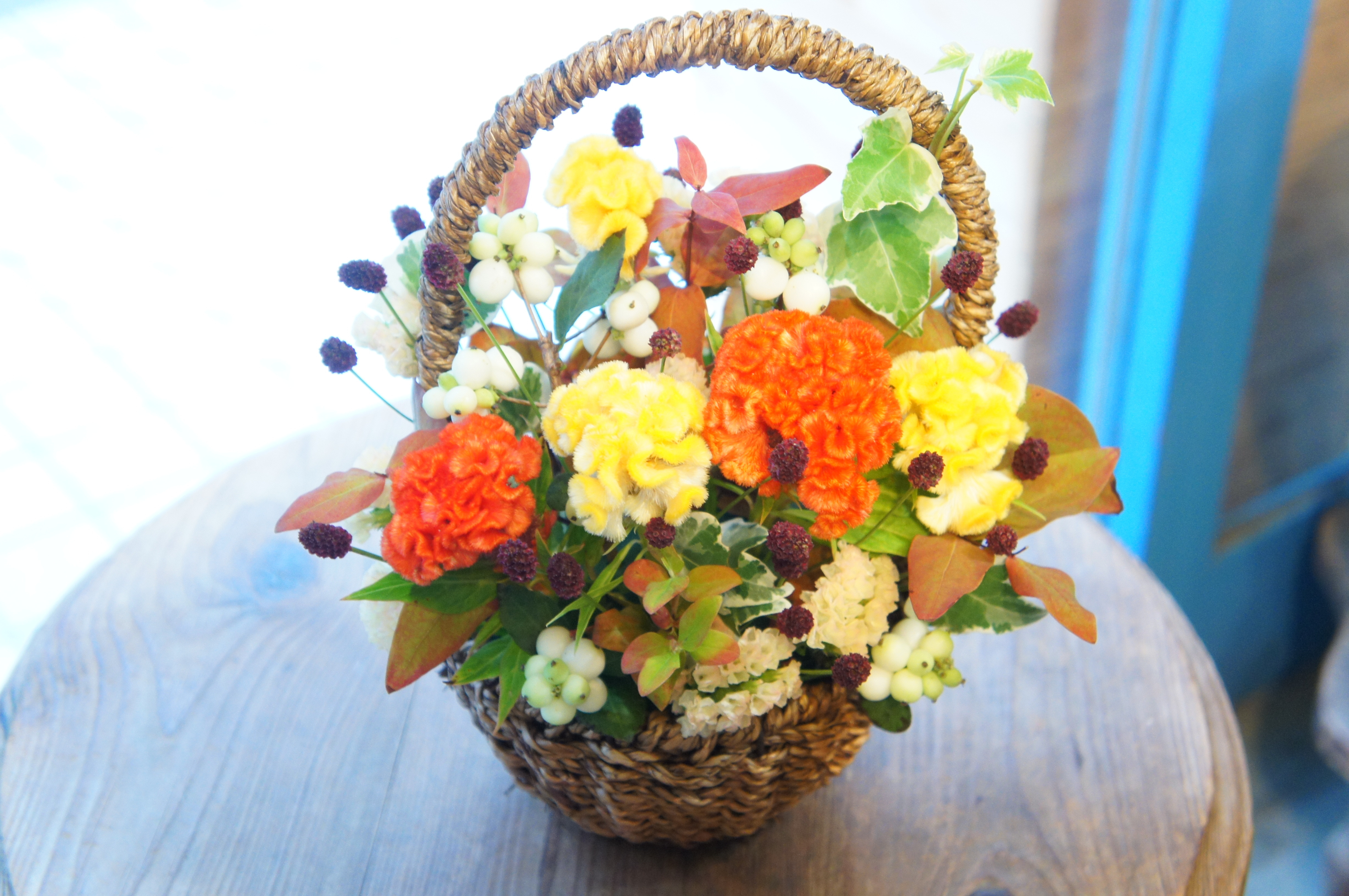 DSC08789.JPG