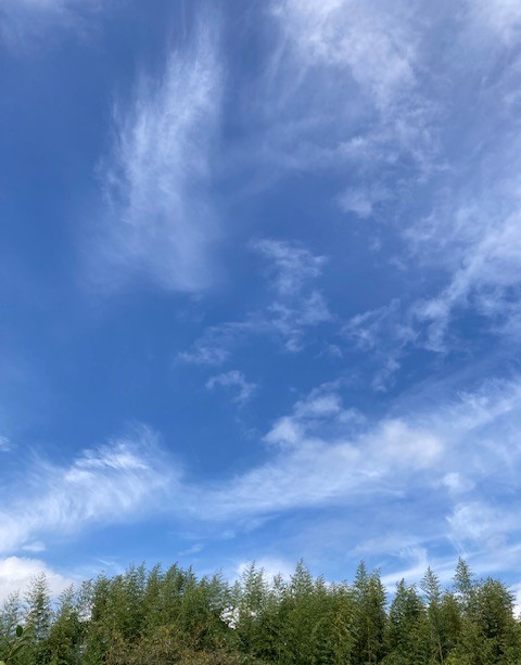 年末年始のごあいさつ