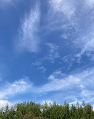 年末年始のごあいさつ