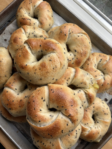 11月1日ラインナップ予定