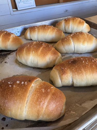 1月17日ラインナップ予定