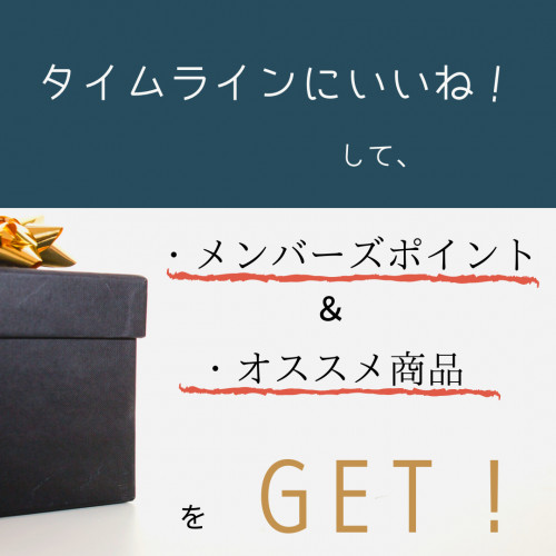 BRIDGEのタイムラインを見逃すな!!