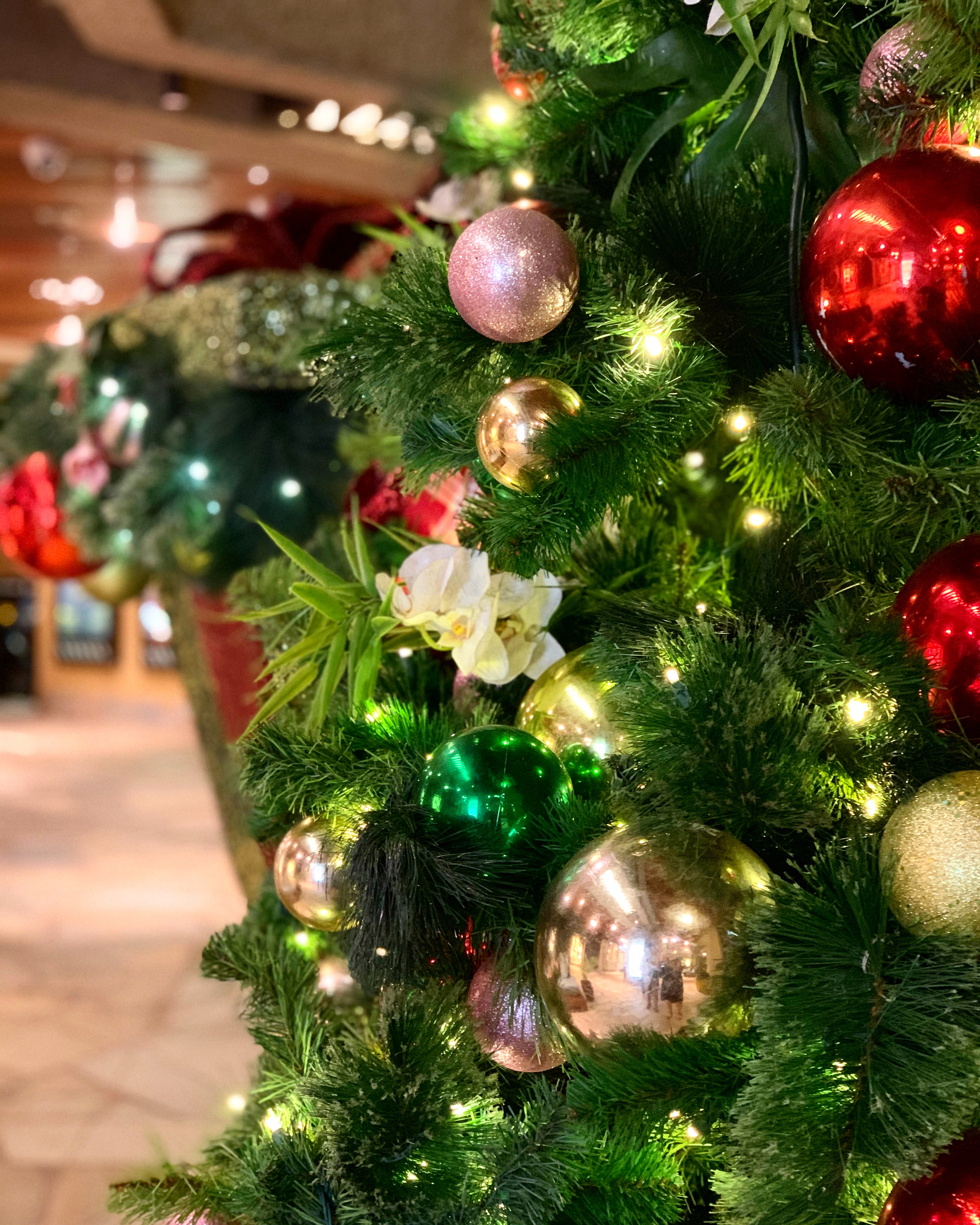 🌼12月プライベートLessonご予約受付終了致しました