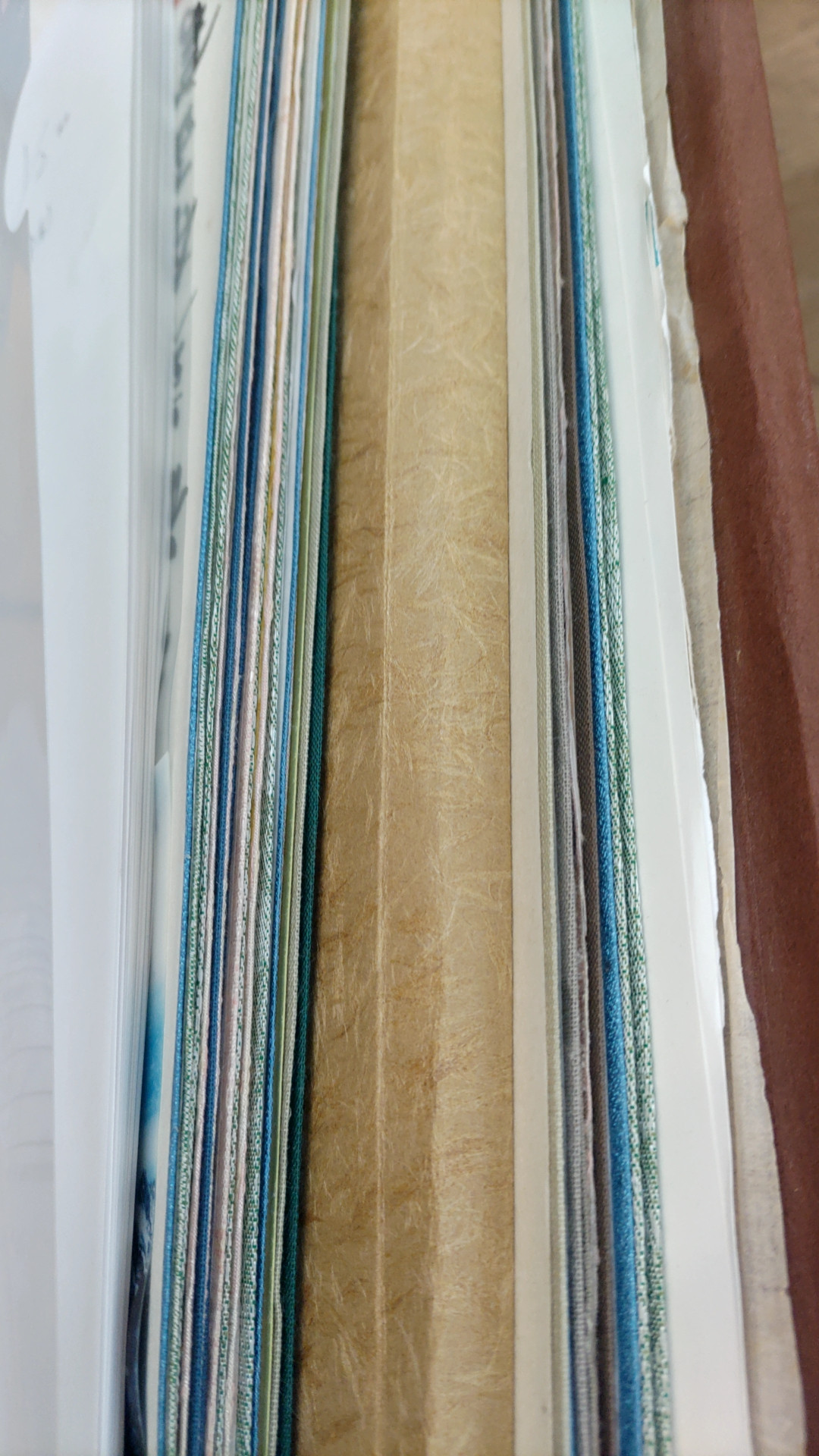 ●2025座間市民芸術祭 出品完了●