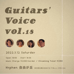 Guitar's Voice vol.18