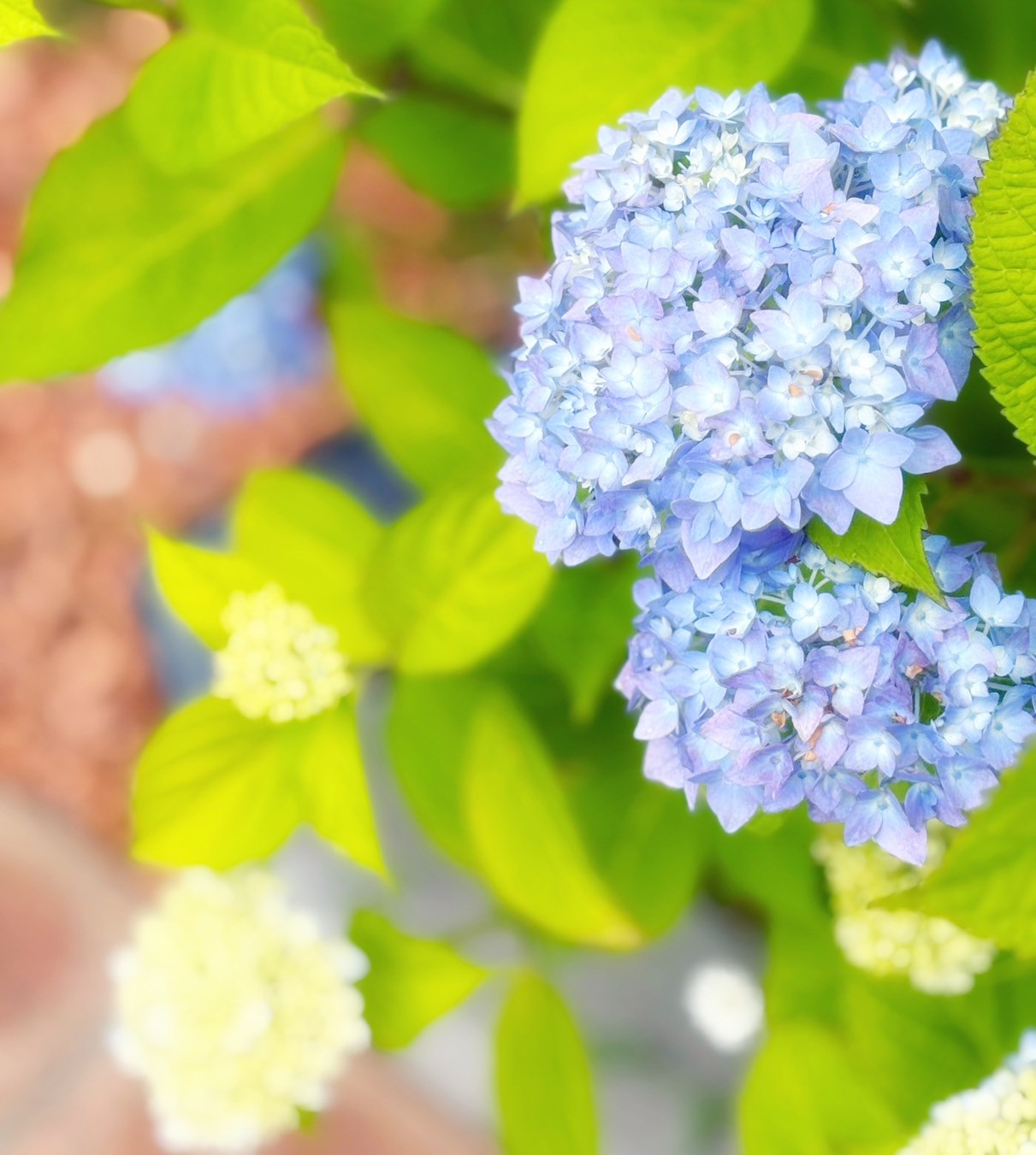 line_oa_chat_250603_125443_group_0.jpg