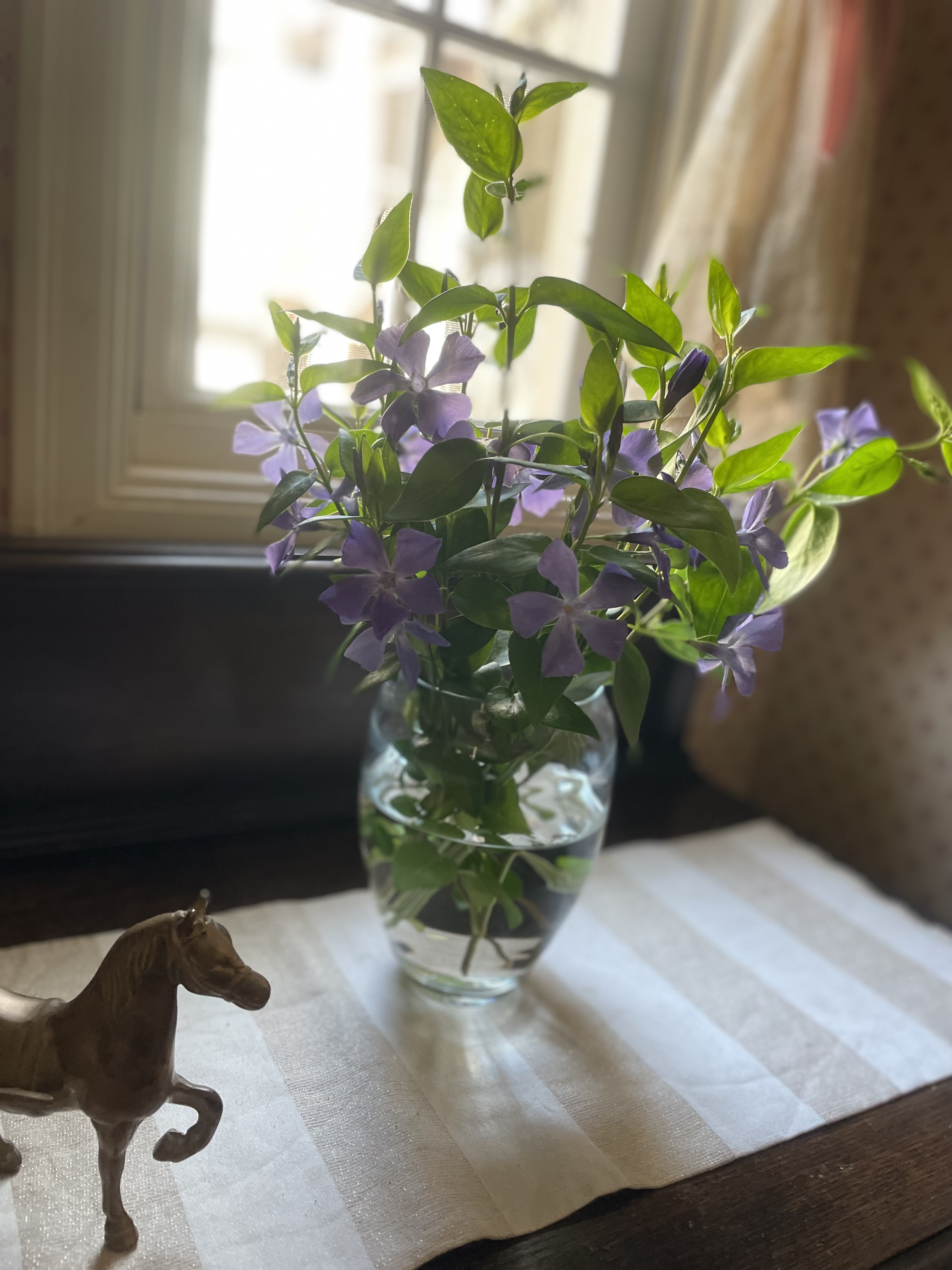IMG_9457.jpeg