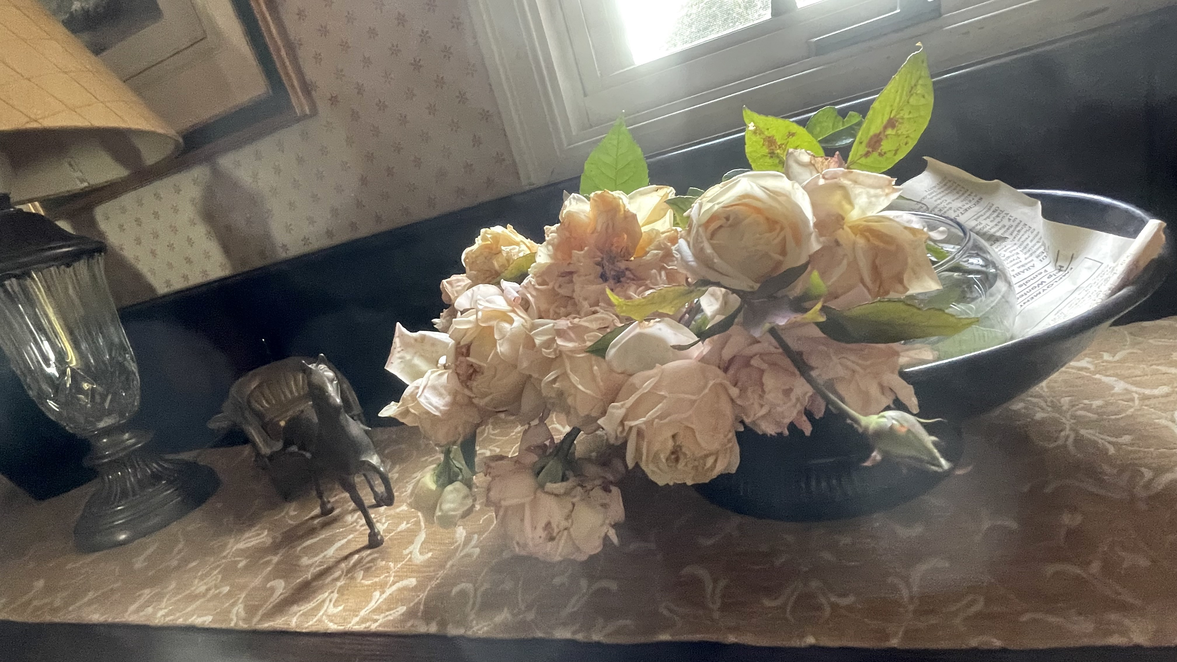 本日のお迎えバラ