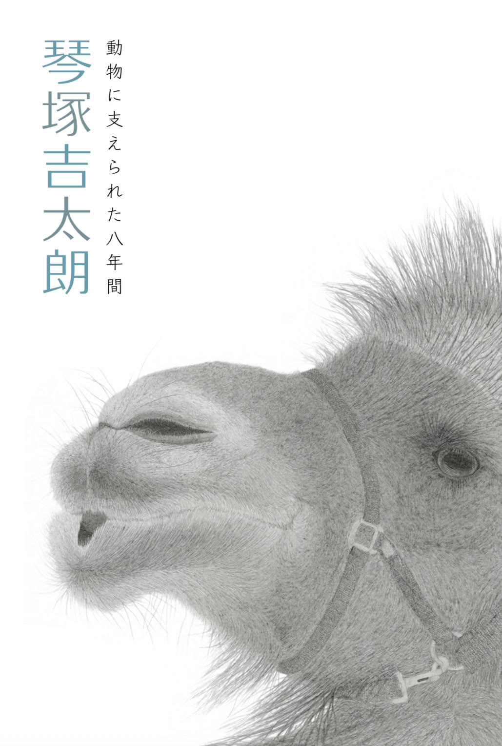 🚩６月　琴塚吉太朗　個展 「動物に支えられた八年間」