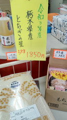 栃木県産とちぎの星
