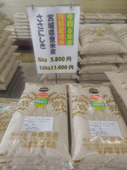 宮城県産 特別栽培米 ササニシキ