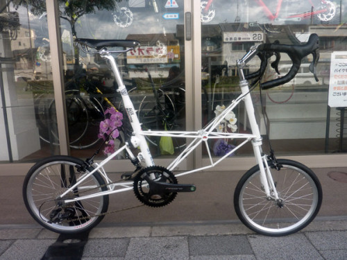 唯一無二の究極美！モールトン AM-SPEED SANWAカスタム仕様 降臨！